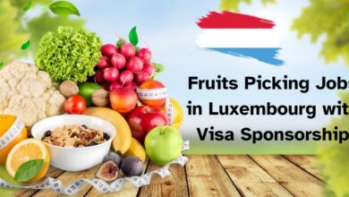 Fruits Picking Jobs in Luxembourg with Visa Sponsorship