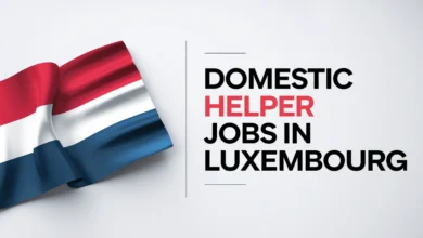 Domestic Helper Jobs In Luxembourg With Visa Sponsorship 2024