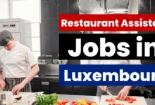 Restaurant Assistant Jobs in Luxembourg with Visa Sponsorship 2024